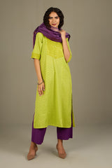 Lime Luster Stripes Long Panel Kurta
